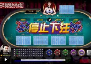 世界杯冠军赔率排行榜-世界杯冠军赔率排行榜，预测与解读